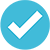 Checkmark Icon